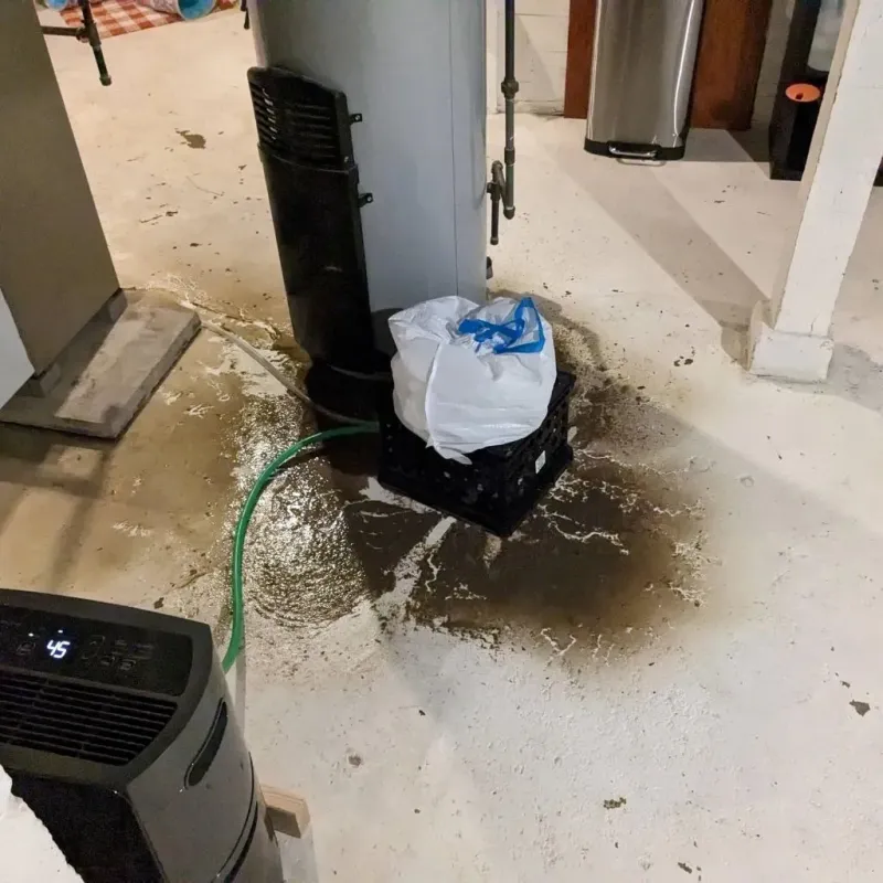 Sewage Backup Cleanup Service in Laguna Heights, TX